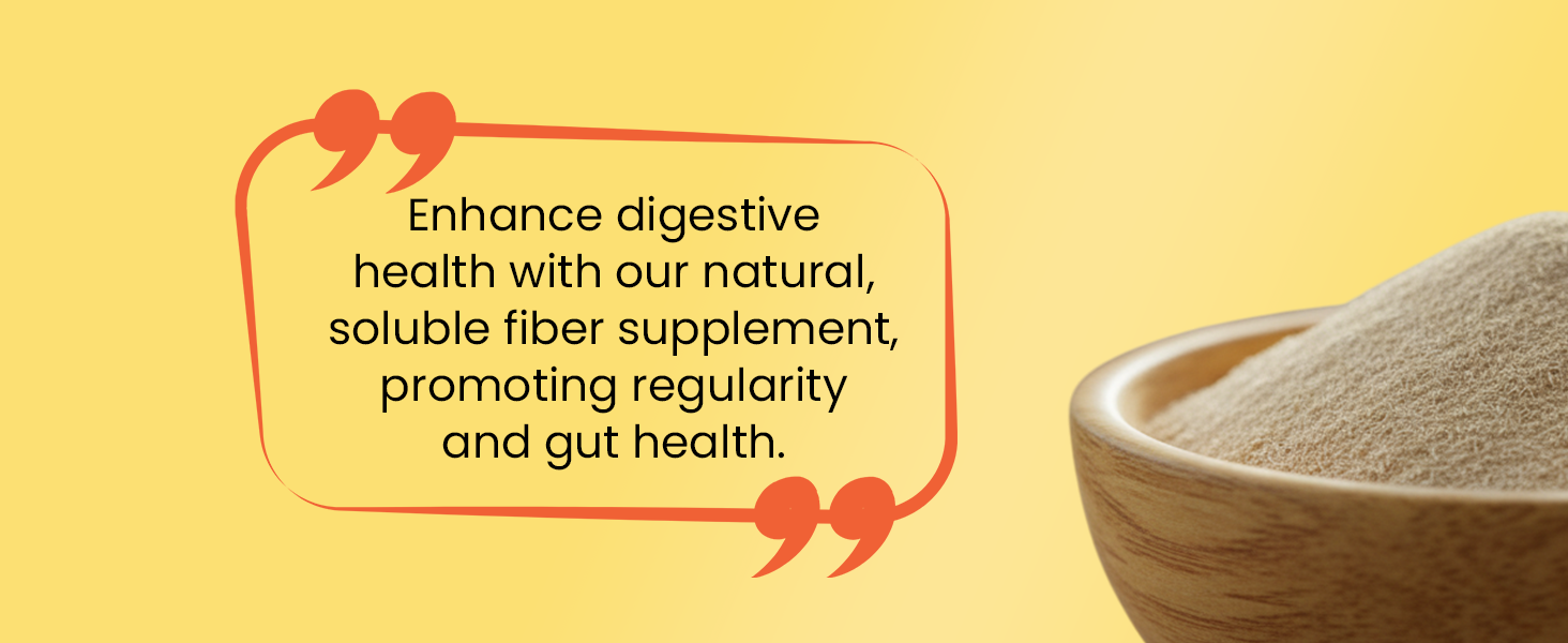 Baidyanath Asli Ayurved Isabgol 200 gm - Psyllium Husk Powder| Boosts Digestion | Constipation Relief Naturally | Rich Source Of Dietary Fiber Supplement - Pack of 3