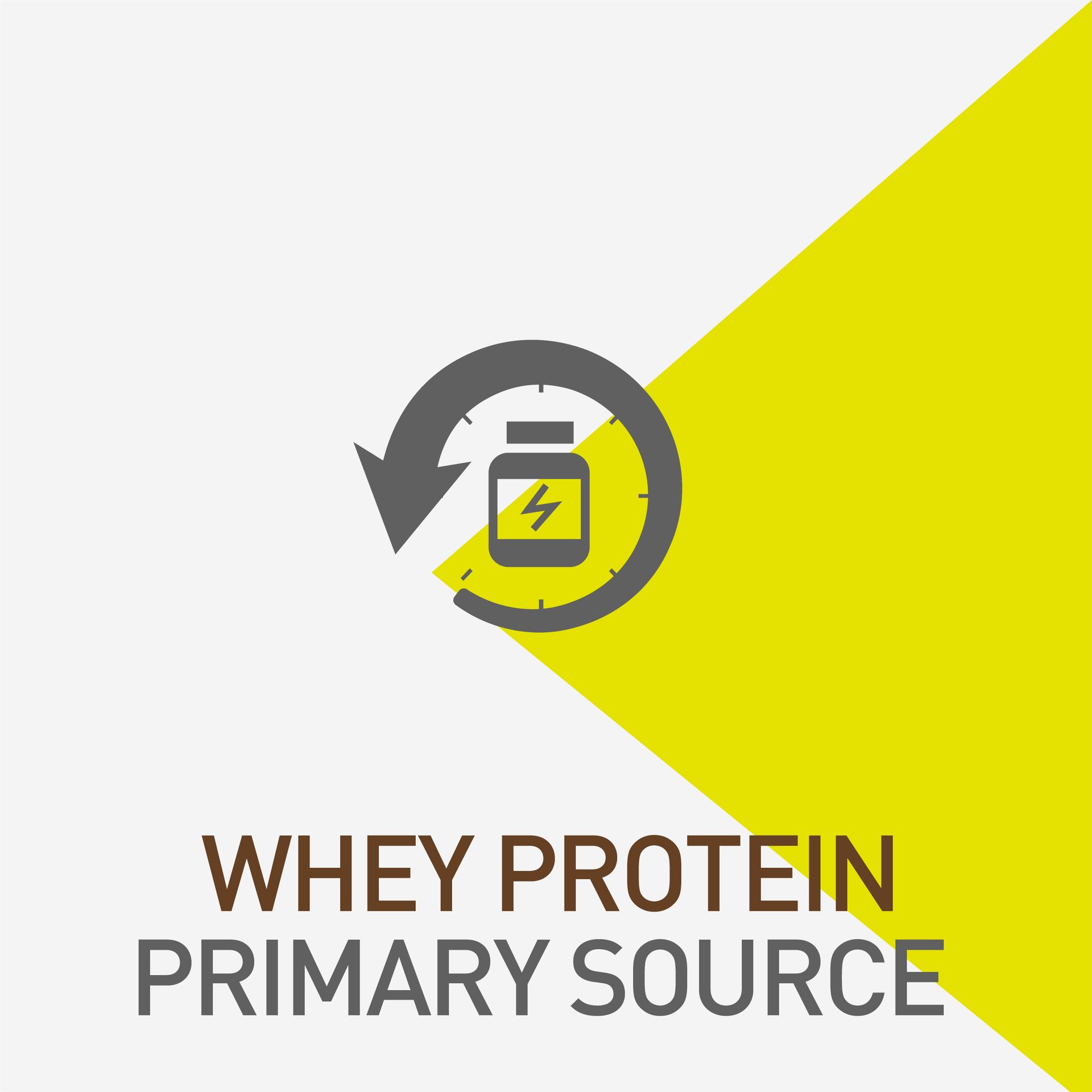 MuscleBlaze Beginner's Whey Protein Powder, Chocolate, 1kg (2.2lbs)