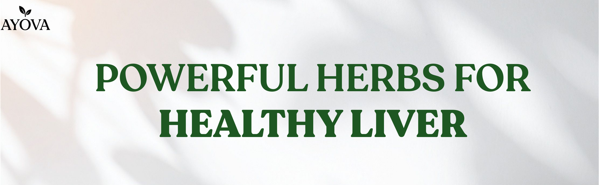 Liver Care Syrup | Ayurvedic Herbal Liver Support | 500 ml