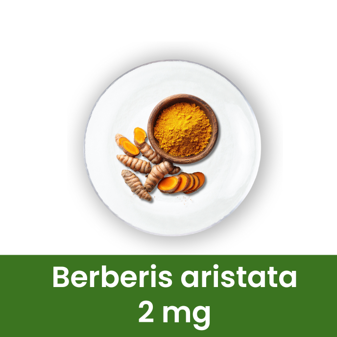 Liver Care Syrup | Ayurvedic Herbal Liver Support | 500 ml