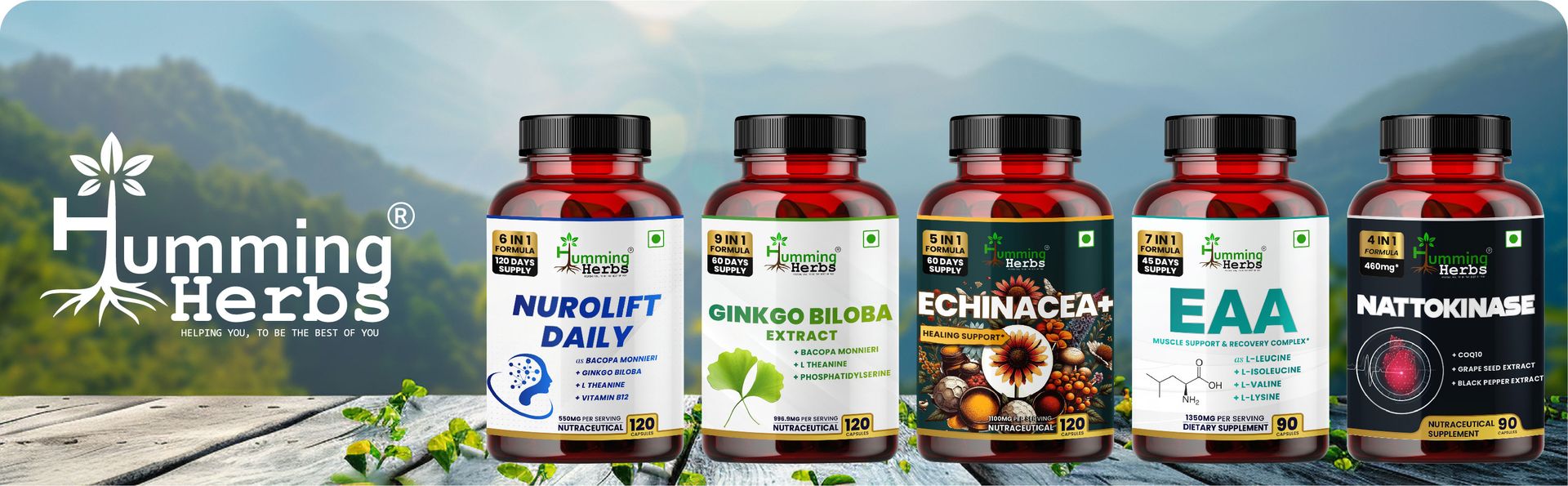Humming Herbs Choline 1122mg with Bacopa, Ginkgo, Phosphatidylserine, L-Theanine & B6 | 7-in-1 Cognitive Support Formula | 90 Veg Capsules | 45 Days Supply | Brain Health Supplement