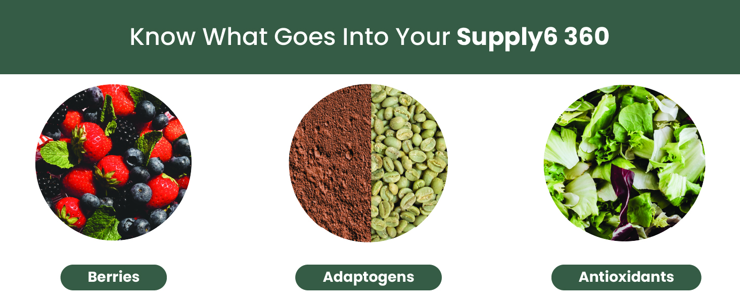 Supply6 360 Ultimate Health Powder for Women & Men | Daily Supplement with 63+Vitamins, Minerals, Probiotics, and Superfoods | Daily Greens | Gut Health supplements, Energy, Immunity