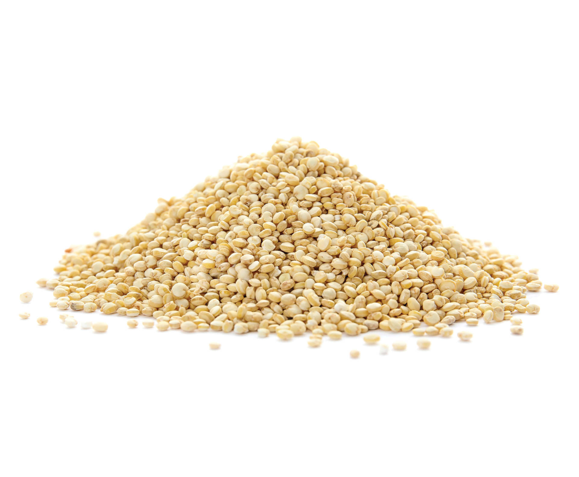 OZiva Plant Protein Powder, Pea Isolate, Vegan, Unflavoured, 1kg