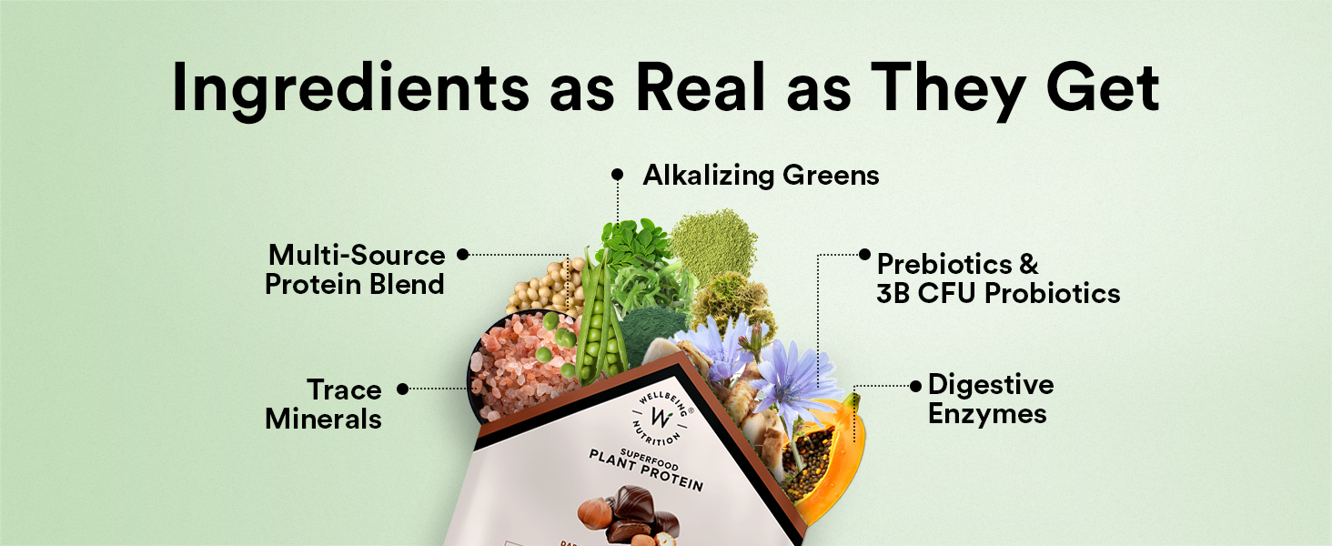 Wellbeing Nutrition Organic Vegan Plant Protein Isolate | 22g Protein, 5g BCAA, 3B CFU Probiotics, Enzymes, 3g Fiber, 5 Alkalizing Greens | NO Bloating, Easy to Digest | Dark Chocolate Hazelnut 500gm