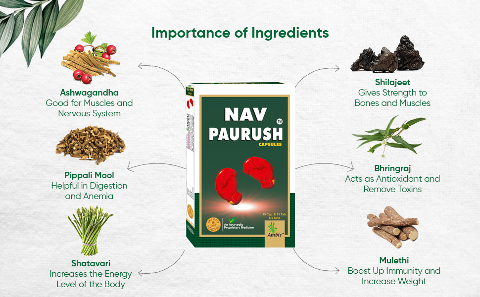 Ambic Nav Paurush Capsule - 60 (Capsule + Tablet) I Ayurvedic Weight Gain Capsules For Strength & Stamina I Promotes Muscle Gain Naturally (Pack of 1), 60 grams