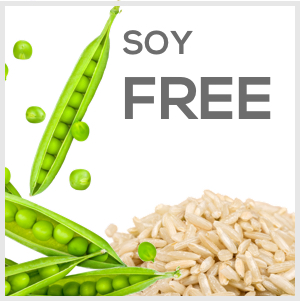 Raw Pea & Rice Protein Powder -100% Plant Protein Powder Gluten free (Unflavoured - 1 Kg)