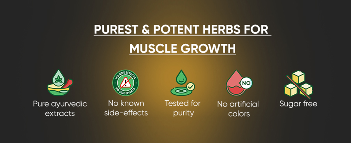 Dr. Vaidya’s Herbobuild Mass Gainer for Men | Ayurvedic Weight Gainer Capsules for Muscle Gain, Strength & Stamina | Safe & Natural Mass Gainer for Men - 30 Capsules (Pack of 2)