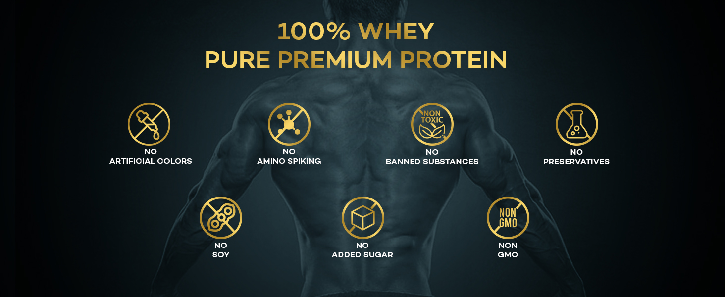 NAKPRO NUTRITION Gold Premium Whey Protein | 1kg Chocolate | 27g Protein | Isolate & Concentrate