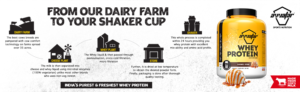 avvatar WHEY PROTEIN | 1Kg | Caramel Crème Flavour | 27g Protein | 29 Servings | Isolate & Concentrate Blend