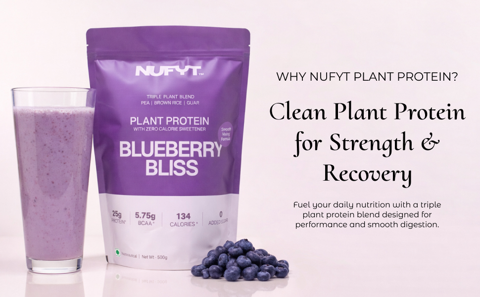 Blueberry Plant Protein Powder 500g | 25g Protein Per Scoop | Pea + Brown Rice + Guar Blend | No Added Sugar, Vegan, Soy & Gluten Free | Probiotic + Enzymes | Blueberry Bliss
