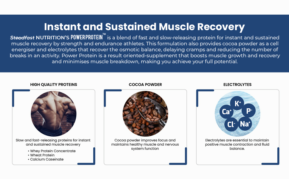 Steadfast Nutrition Power Protein Cocoa 2.4kg, 60 Sachets, Natural Cocoa Powder Glutamic acid 4g carbohydrates & 5 electrolytes