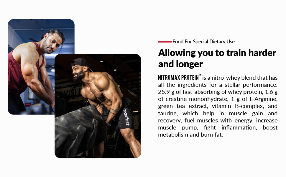 Steadfast Nutrition Nitromax Protein 25.9g Fast Releasing Protein Increases Muscle pump strength Lean Muscle (Chocolate, 60 Sachets, 2400g)