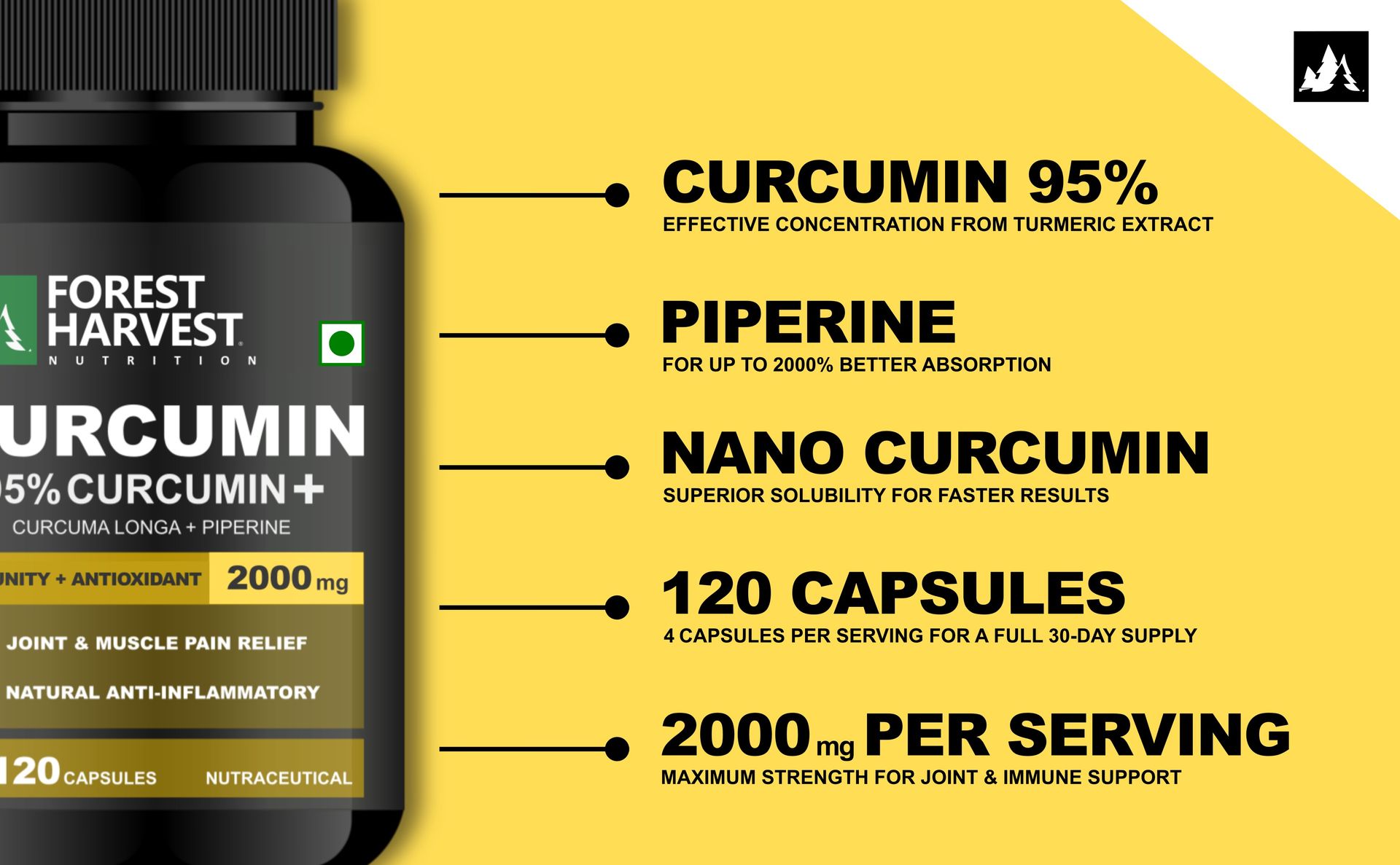 Curcumin 95% + Nano Curcumin with Piperine Capsules | 2000mg Per Serving | 120 Capsules | Triple-Strength for Superior Absorption, Joint Health & Immunity