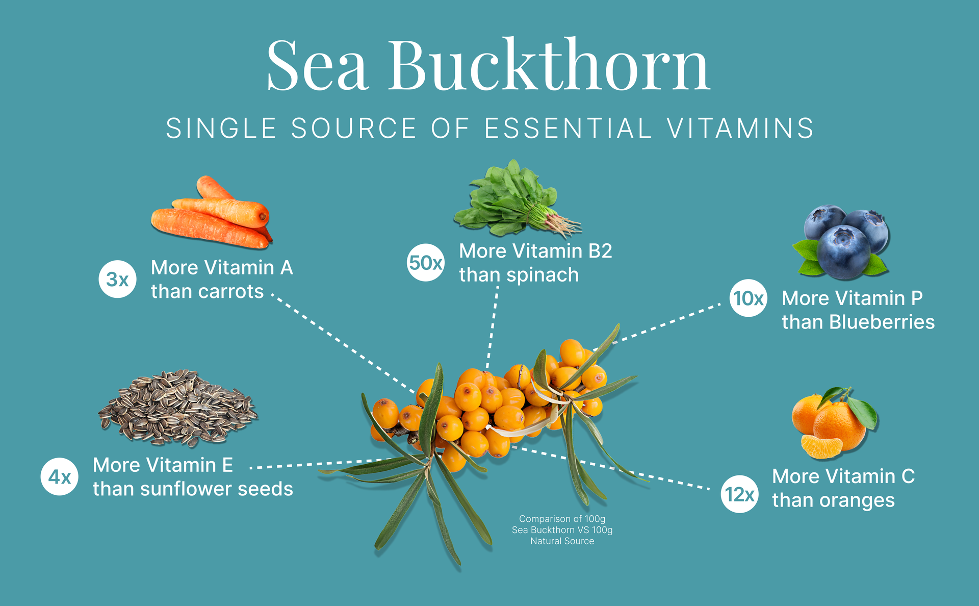 Omega 3679 Sea Buckthorn Oil Capsule, 1000mg | Helps to Boost Immunity, Supports Heart, Brain, Joint & Skin Health | 100% Vegan Whole Body Wellness Nutrition Supplement | 120 Capsules – 60 Days