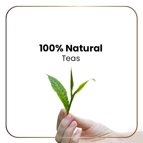 Teamonk High Mountain Ashwagandha Green Tea Whole Leaf (100 Cups) - 200 g. Tea for Anxiety and Stress Relief. Known to Boost Memory