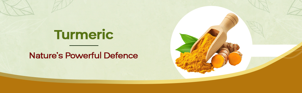 Baidyanath Haldi Tablets - 60 Tablets | Ayurvedic Turmeric Supplement | With Haridra Extract | Supports Skin, Immunity & Liver Function |