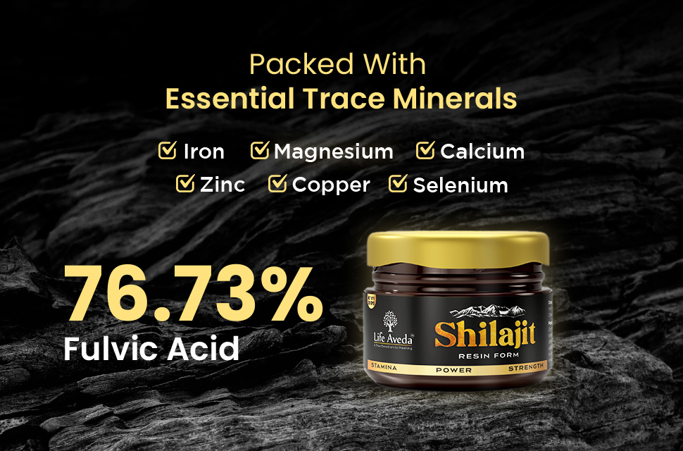 Life Aveda Himalayan Shilajit/Shilajeet Resin (20g) - 500mg Per Serving | 100% Ayurvedic | 80+ Minerals with 75% Fulvic Acid