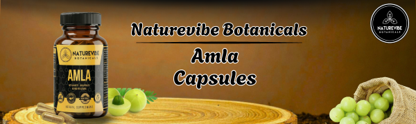 Amla Capsules 180 Veg Capsules by Naturevibe Botanicals Indian Gooseberry (Emblica Officinalis) Supplement | Natural Source of Vitamin C & Antioxidants | Daily Herbal Wellness Support | Serving Size 2 capsules daily