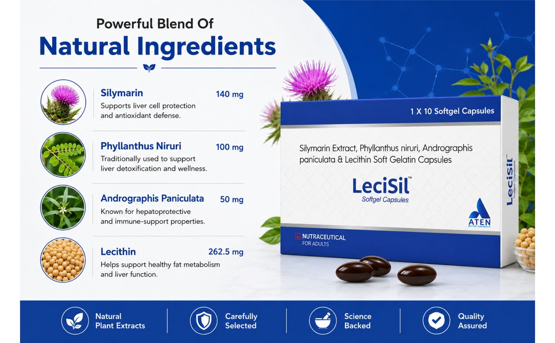 LECISIL Capsules - Comprehensive Liver Support | Helps in Liver Detox & Liver Cell Regeneration, Manages Fatty Liver (3 x 10 Softgel Capsules)