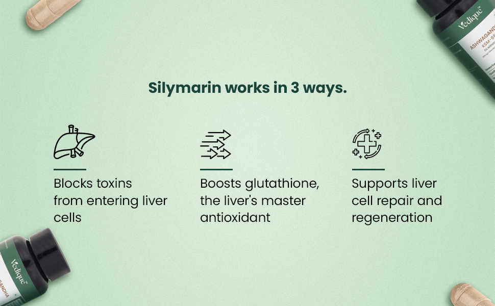 Milk Thistle Capsules 600 mg | 80% Silymarin Extract | Veg Capsules