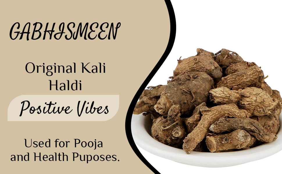 GABHISMEEN Kali Haldi Or Black Turmeric Or Narkachur Or Narkachoor Raw And Natural (50 Gram)