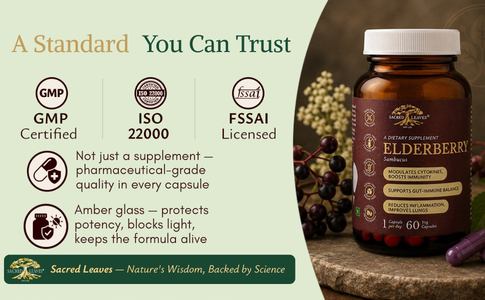 Elderberry Extract 500 mg, Immune Support Supplement