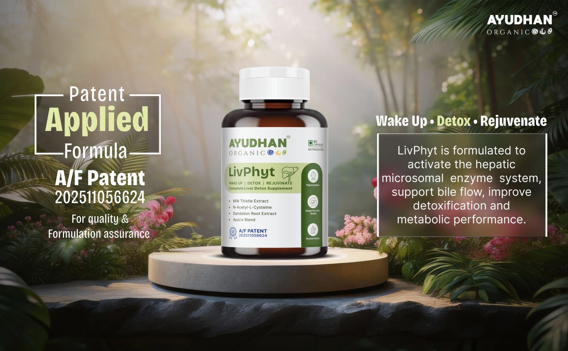 LivPhyt Liver Detox Supplement with Milk Thistle, N-Acetyl L-Cysteine, Dandelion Root & Ayurvedic Herb Blend, Nutraceutical 60 Capsules