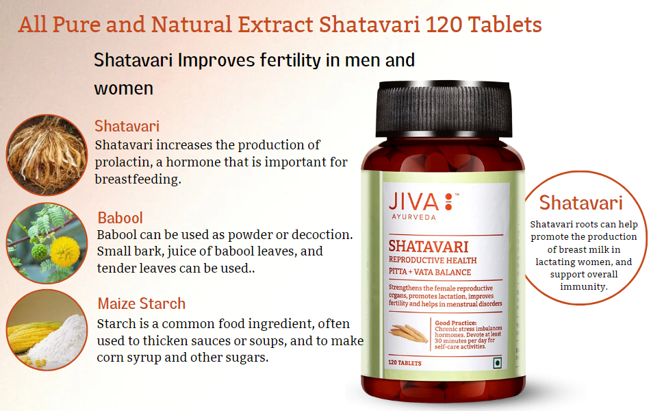 Jiva Shatavari Tablets 500gm | 100% Pure & Natural | Helps to Booss Immunity | Goodness of Shatavari, Babool, Maize & Starch | For Men & Women - 120 Tablets (Pack of 2)