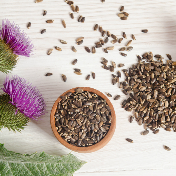The Indian Chai - Organic Milk Thistle Seed 250g, Silymarin Rich Antioxidant Superfood for Liver, Kidney, Cholesterol & Blood Sugar Support | Caffeine Free Herbal Tea