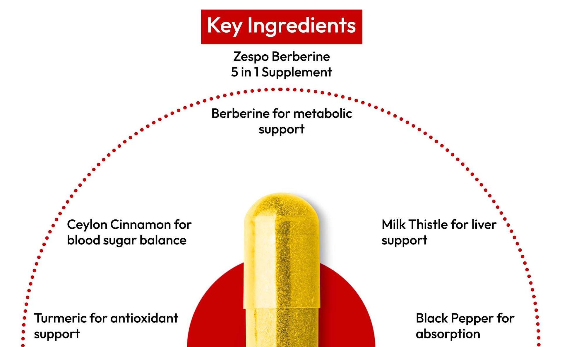 ZESPO Berberine HCl 1200 mg with Milk Thistle, 120 Capsules