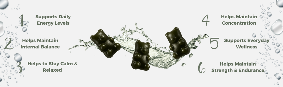 Vitality Gummies with Shilajit & Ashwagandha, 30 Gummies