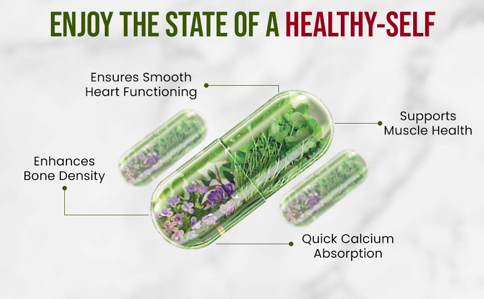 Vlado’s Himalayan Organics Plant Based Calcium 650mg Supplement For Men And Women | Better Absorption | Healthy Bones And Heart | Recovery And Joint Support - 60 Veg Tablets