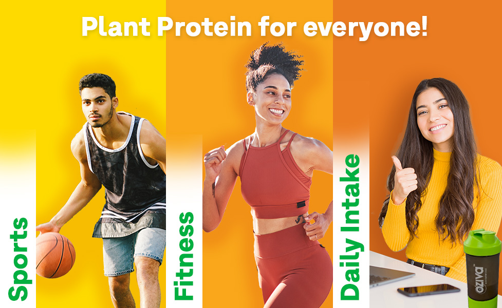 OZiva Bioactive Plant Protein Powder, 5.5g BCAA, Pea Isolate, Mango, 1kg