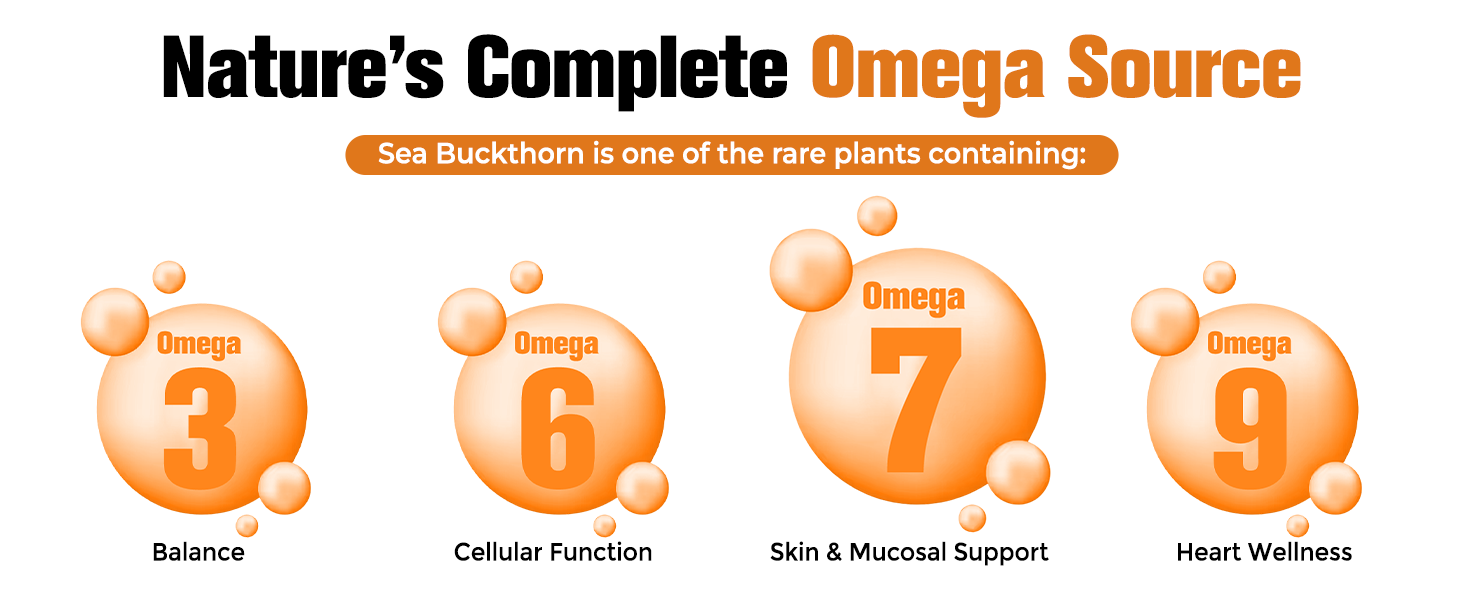 Himalayan Sea Buckthorn Capsules 15000 mg | Sea Buckthorn Berry Extract | with Omega-7 | High Potency Antioxidant Supplement for Immune Support, Digestive & Heart Health | 60 Veg Capsules