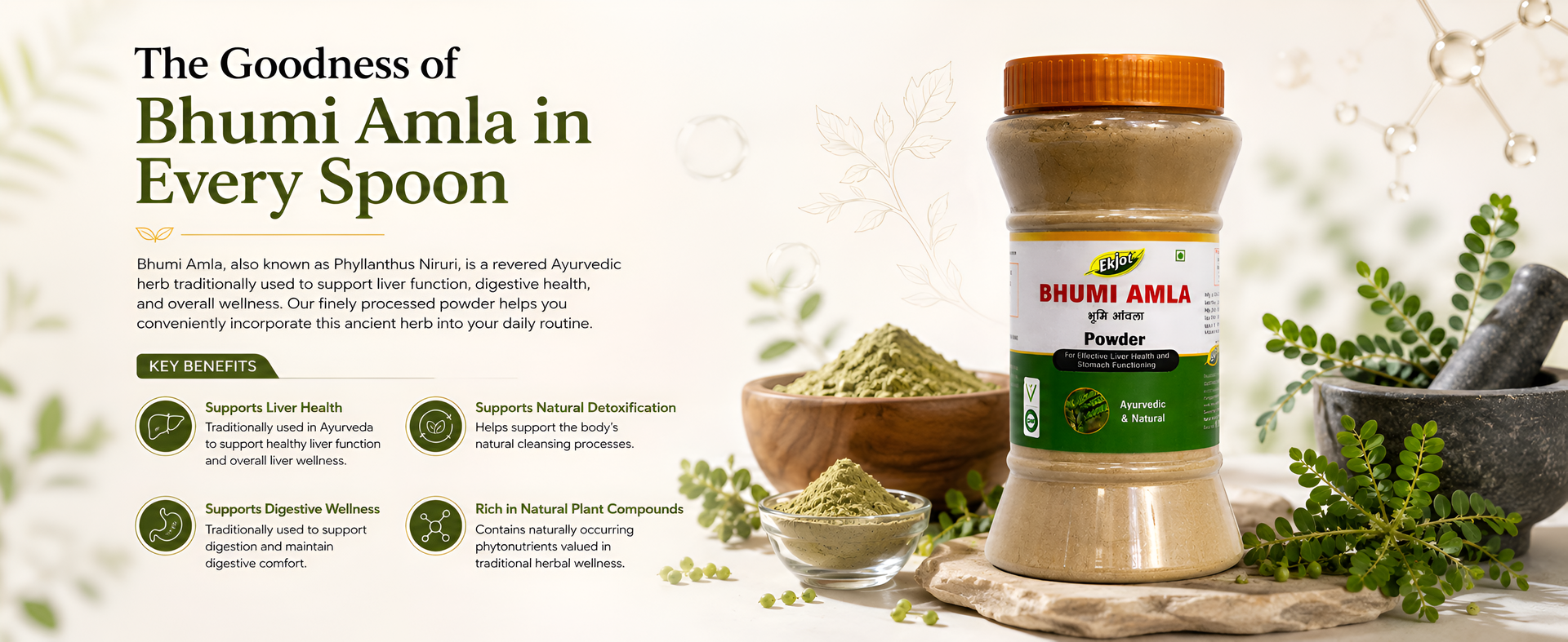 Bhumi Amla Powder/Churn - Organic And Pure Ingredient Extract For Healthy Liver Functioning And Digestive Strength | Enriched With Essential Nutrients | 200gm