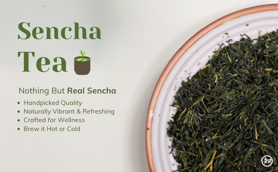 CHIRAN Japanese Sencha Green Tea — Loose Leaf 50g (~25 Cups) | Japan's Most Popular Tea | Cold or Hot Brew | Imported from Kagoshima | Light, Grassy, Naturally Umami