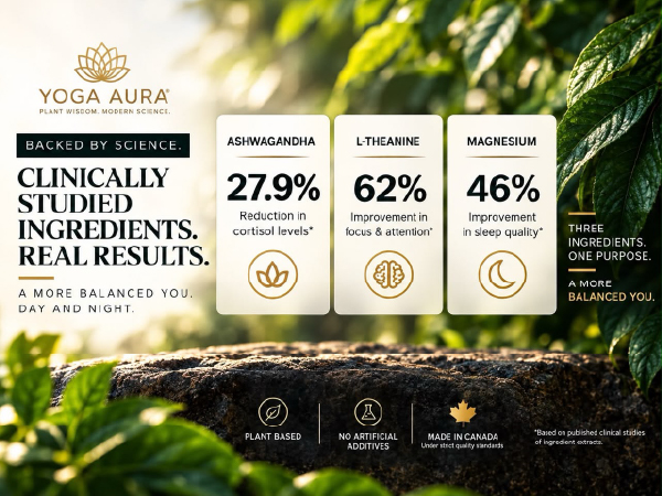 Pure Ashwagandha 6000 mg- 200mg,L-theanine 200mg, Magnesium Bisglycinate 75mg Per Capsule | High Potency , Expert Formulated | Resistance to Stress, Promote Relaxation, Energy, Memory Enhancement, Sleep Aid & Rejuvenative Tonic