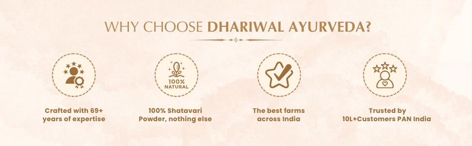 Dhariwal Ayurveda Organic Shatavari Powder 100 G | 100% Pure & Ayurvedic | General Well-Being Supplement | Asparagus Racemosus Root