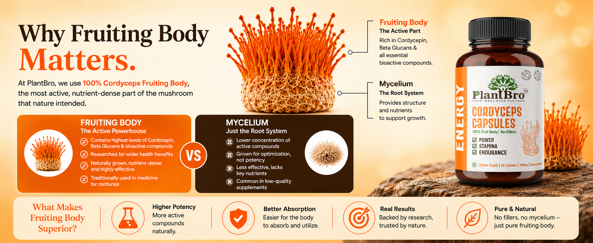 Cordyceps Militaris Extract 30 Capsules - For Stamina, Energy & Workout Recovery - Natural Pre-Workout Alternative for Men & Women - Vegan, Non-GMO, Lab Tested, FSSAI Certified