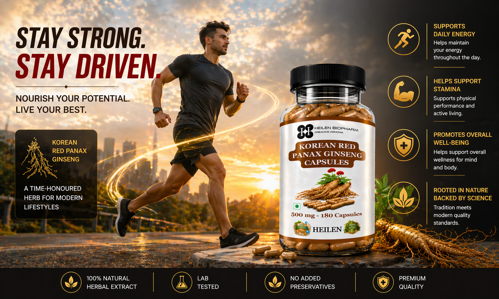Heilen Biopharm Premium Korean Red Panax Ginseng Root Extract Capsules – 500 mg × 180 Veg Caps (Pack of 2) | Natural Energy & Immunity Booster