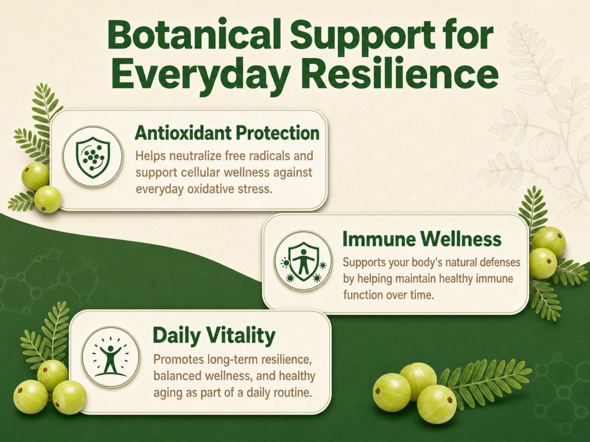Amla Capsules 1000mg 40% Tannins Standardized Amla Extract