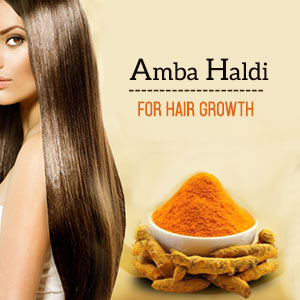Edible Amba Haldi Powder (200g) - Kasturi Haldi (Mango Ginger) With High Curcumin | Immunity Booster, Anti-Oxidant & Anti-Inflammatory Support | Pure & Natural, No Preservatives & Chemicals