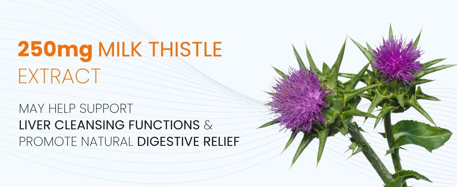 Berberine supplements | Liver Detox Supplement | Milk Thistle with Berberine HCl 98% | Liver Detox Berberine & Milk Thistle Supplement 1010mg Per Serving 60 Capsules by VitaminHaat