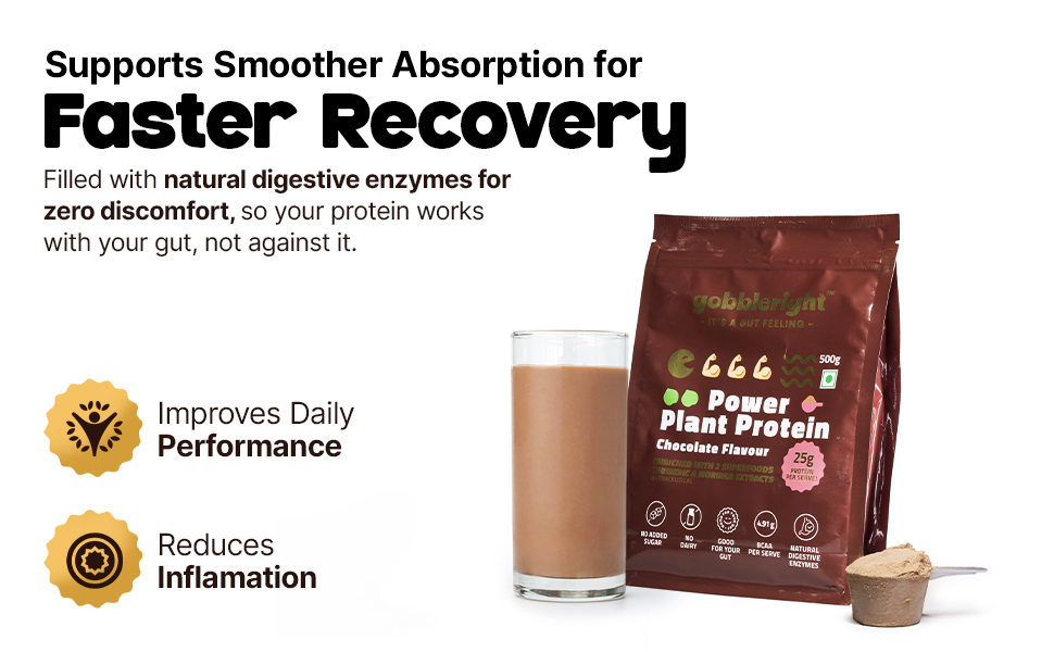 GOBBLERIGHT Plant Protein Powder Chocolate (500g)-28.5g Protein & 4.91g BCAA Per Serve|Isolate & Concentrate Pea Rice Powder with Turmeric & Moringa Extracts|No Added Sugar|Gut Friendly