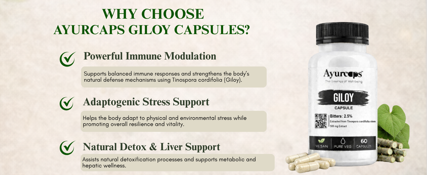 Giloy 500mg 60 Veg Capsules | Guduchi Ayurvedic Herbal Supplement | Supports Immunity, Detox & Daily Wellness | Natural Antioxidant & Metabolic Support | Vegan, No Preservatives