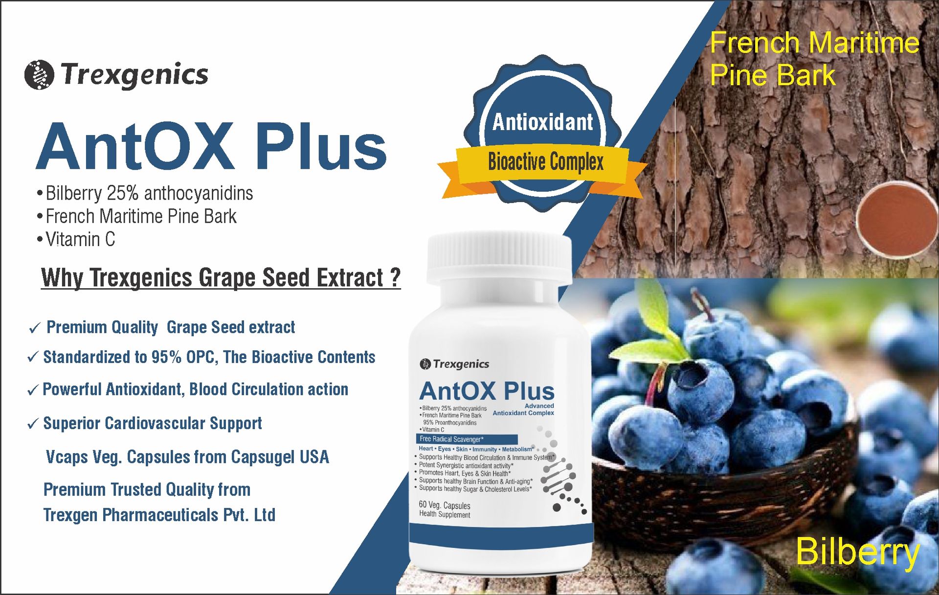 Trexgenics ANTOX PLUS Bilberry 25% 200 mg, Pine bark 90% 200 mg & Vitamin C Advanced Antioxidant complex, Heart, Eyes, Skin, Immunity, Metabolism (60 Vcaps) (1)