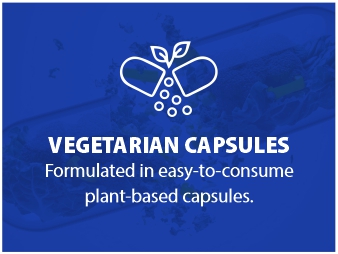 Fitness Veda Ultra Magnesium Complex with Ashwagandha, Vitamin B6 & 5 Magnesium Forms, 3000mg, 90 Veggie Capsules