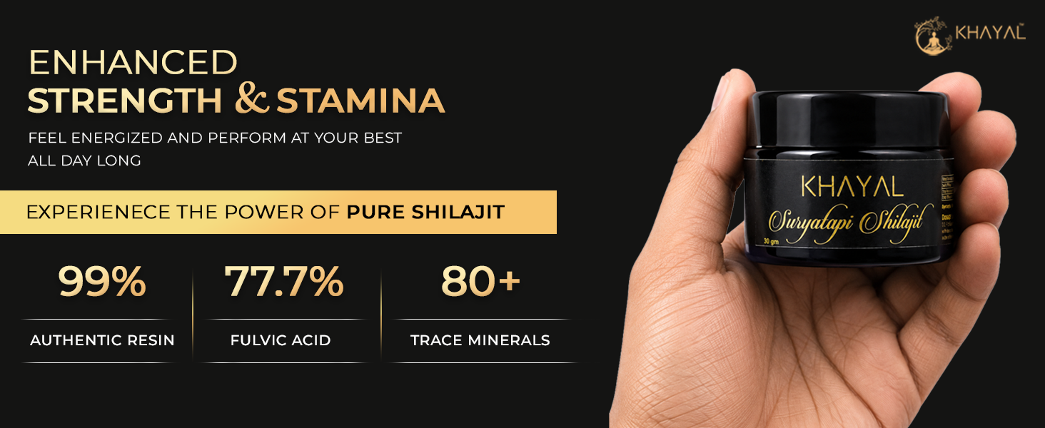Khayal Suryatapi Pure Himalayan Shilajeet Resin | 500mg Serving | Natural Energy, Stamina & Vitality Support | For Men & Women (15 gm)
