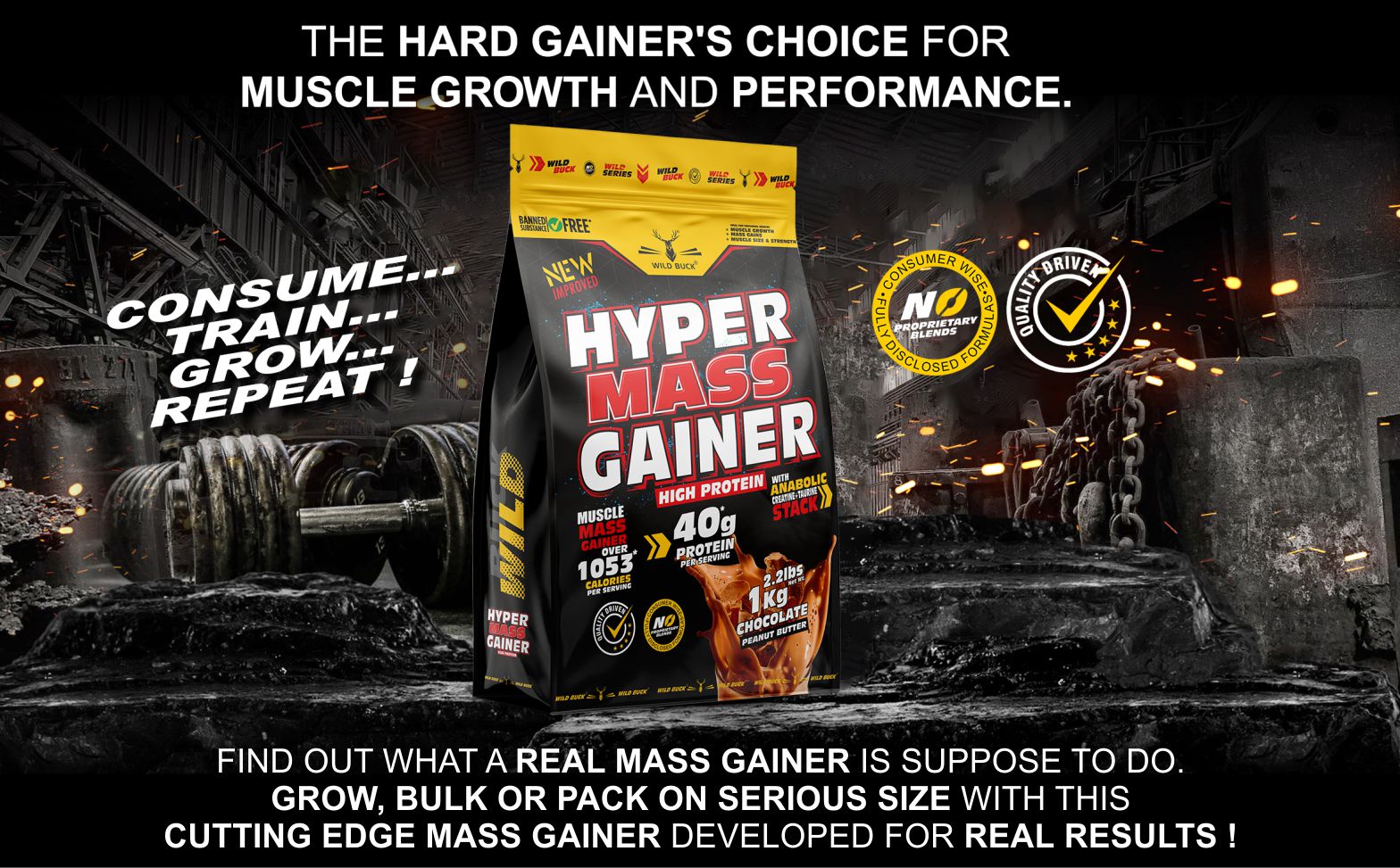 Wild Buck Hyper Mass Gainer Powder, High Protein Muscle Mass Gainer with Creatine + Taurine,1053 Calories & 40g Protein , Gain Strength & Size, Weight Gainer for Men & Women [Chocolate Peanut Butter, 1 Kg / 2.2 lb]