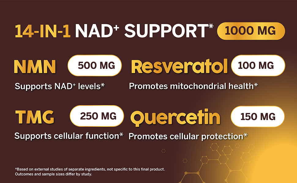 Clean Nutra NMN Supplement 500mg Trans Resveratrol Spermidine Quercetin TMG CoQ10 Complex — Cellnova NAD+ Support All-in-One Longevity Stack for Men and Women — 60 Vegetarian Capsules